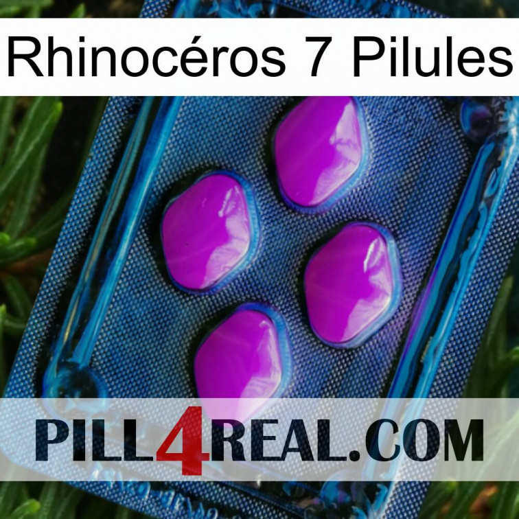 Rhinocéros 7 Pilules 04